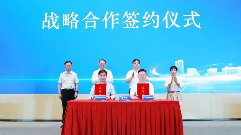 复合防腐剂与单一防腐剂的差异解析